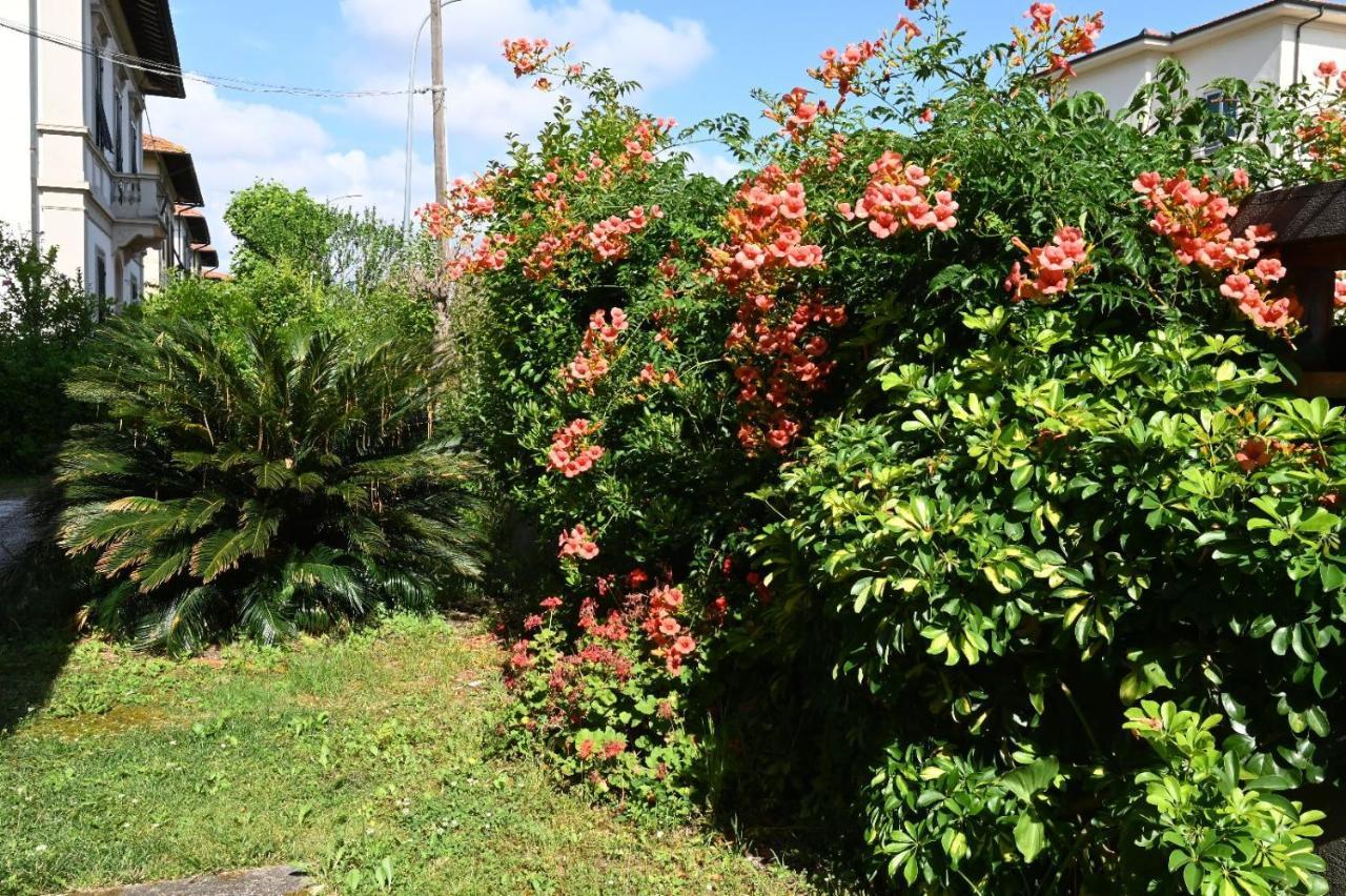 Villa Mehari Pisa Exterior foto