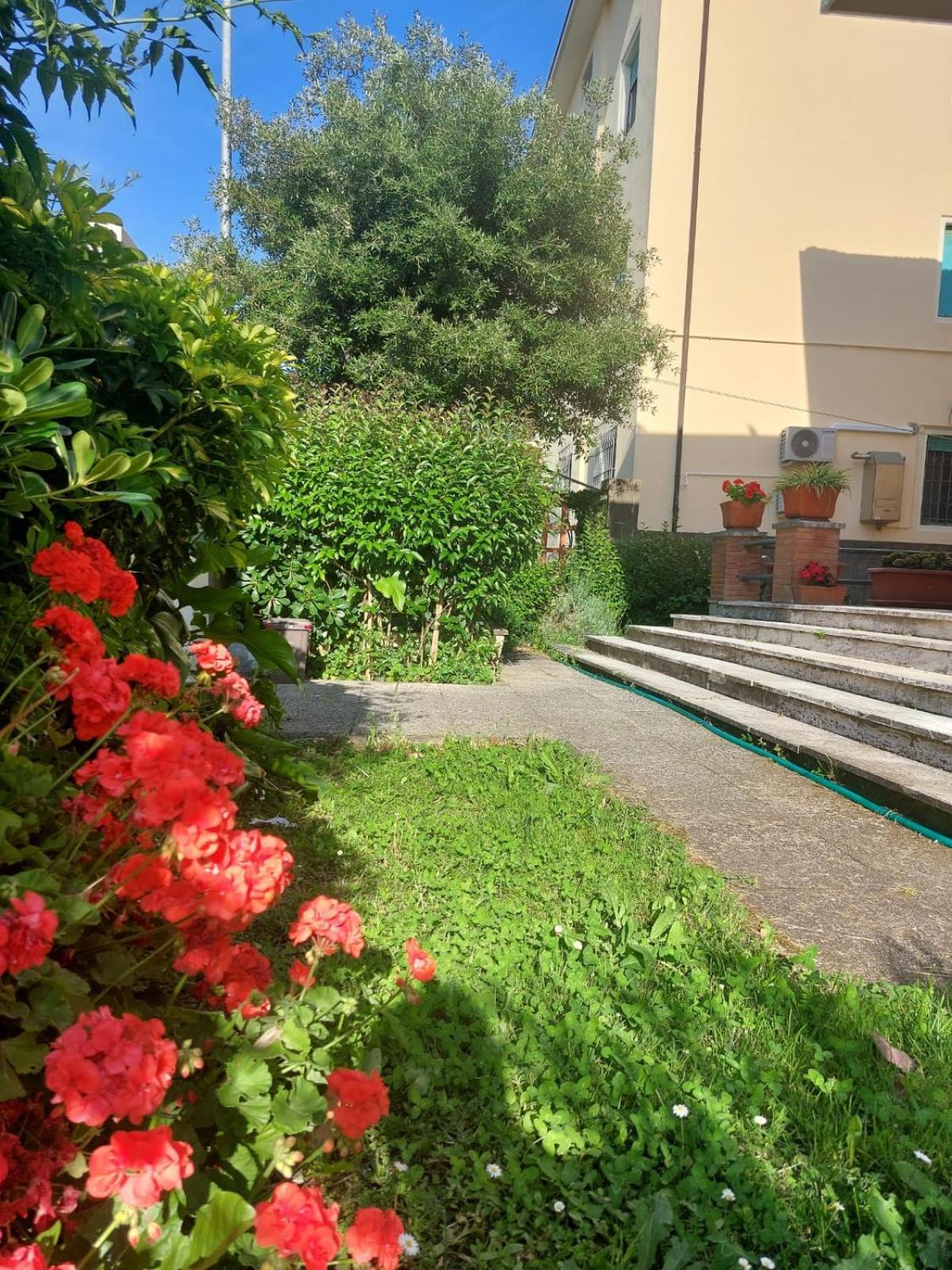Villa Mehari Pisa Exterior foto