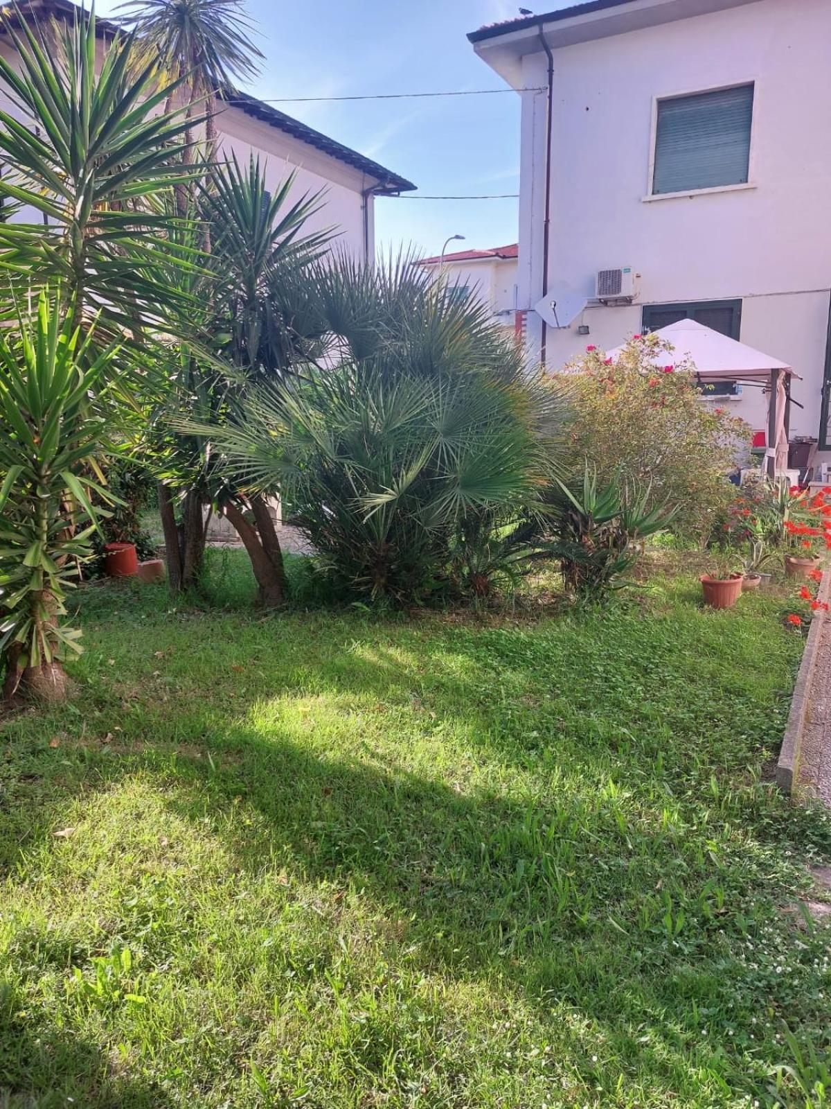 Villa Mehari Pisa Exterior foto