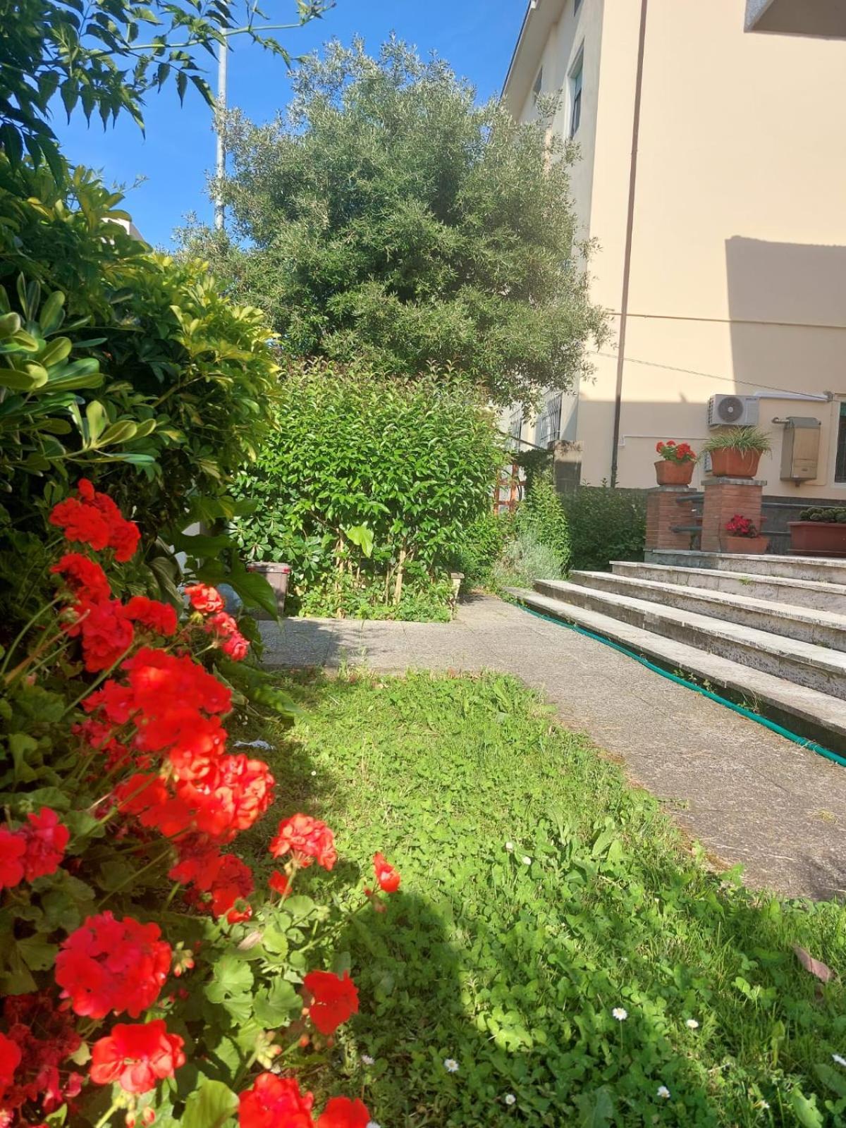 Villa Mehari Pisa Exterior foto